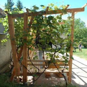 Holzbauten - Pergola